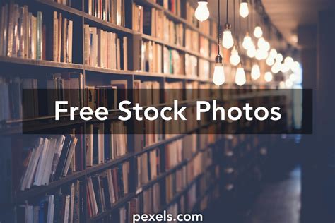 roalty free images|royalty free image library.